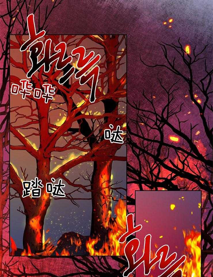 《仙女汤盗窃案》漫画最新章节第57话 狩猎开始免费下拉式在线观看章节第【14】张图片