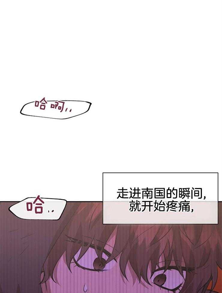 《金色森林》漫画最新章节第39话 回到神的领地免费下拉式在线观看章节第【35】张图片