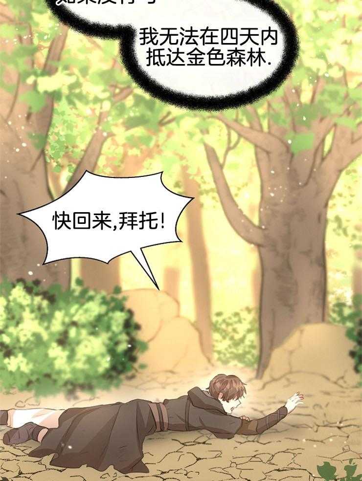 《金色森林》漫画最新章节第39话 回到神的领地免费下拉式在线观看章节第【12】张图片