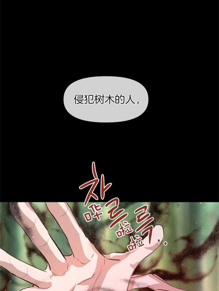 《金色森林》漫画最新章节第51话 接受制裁免费下拉式在线观看章节第【28】张图片