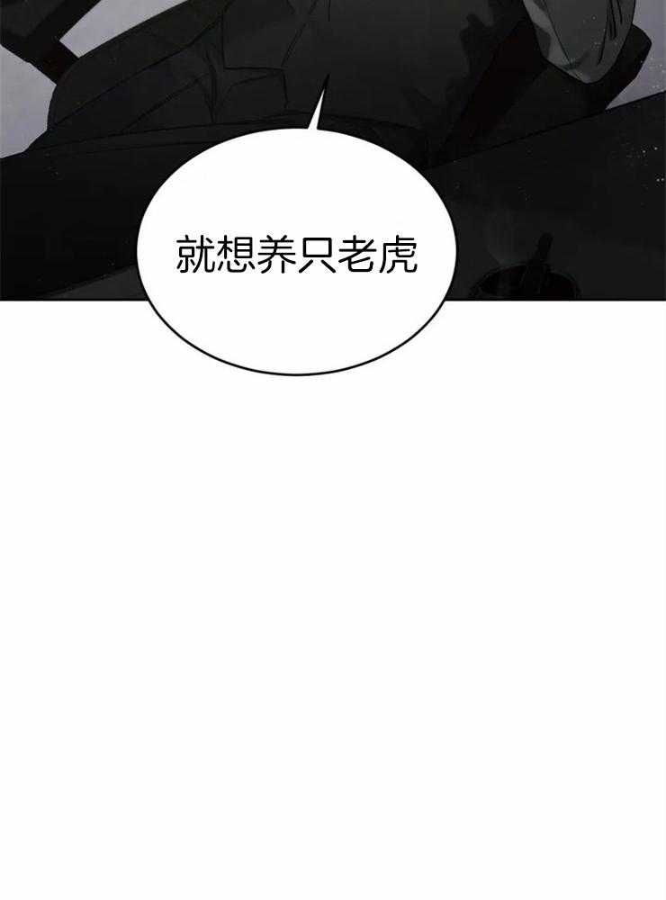 《大佬自主求爱攻略》漫画最新章节第6话 6_想养只老虎免费下拉式在线观看章节第【1】张图片