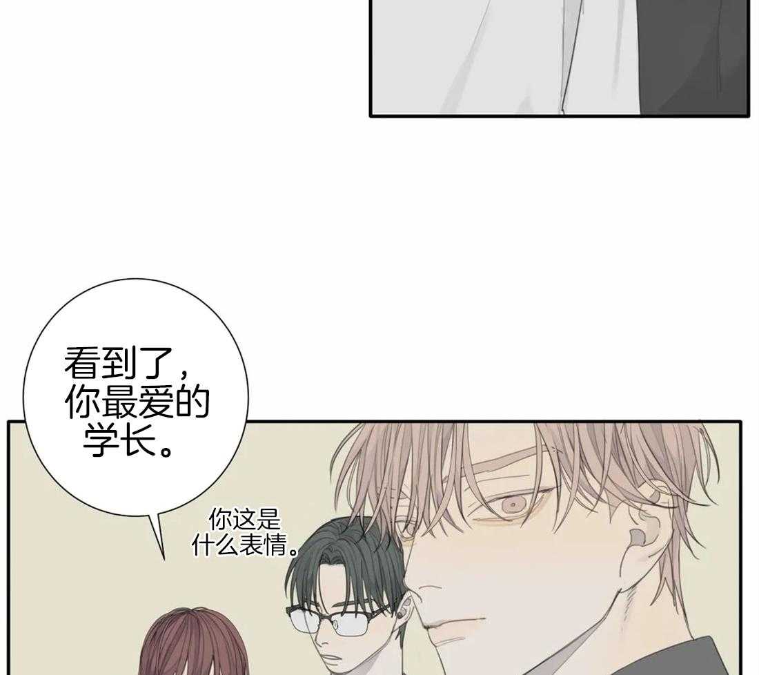 《疯狂的毒》漫画最新章节第28话 有一个请求免费下拉式在线观看章节第【4】张图片