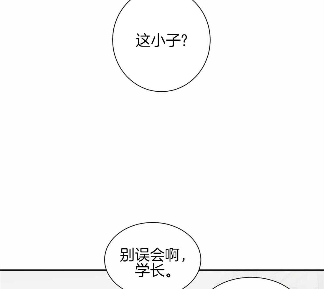 《疯狂的毒》漫画最新章节第31话 真是个搞笑的家伙免费下拉式在线观看章节第【3】张图片