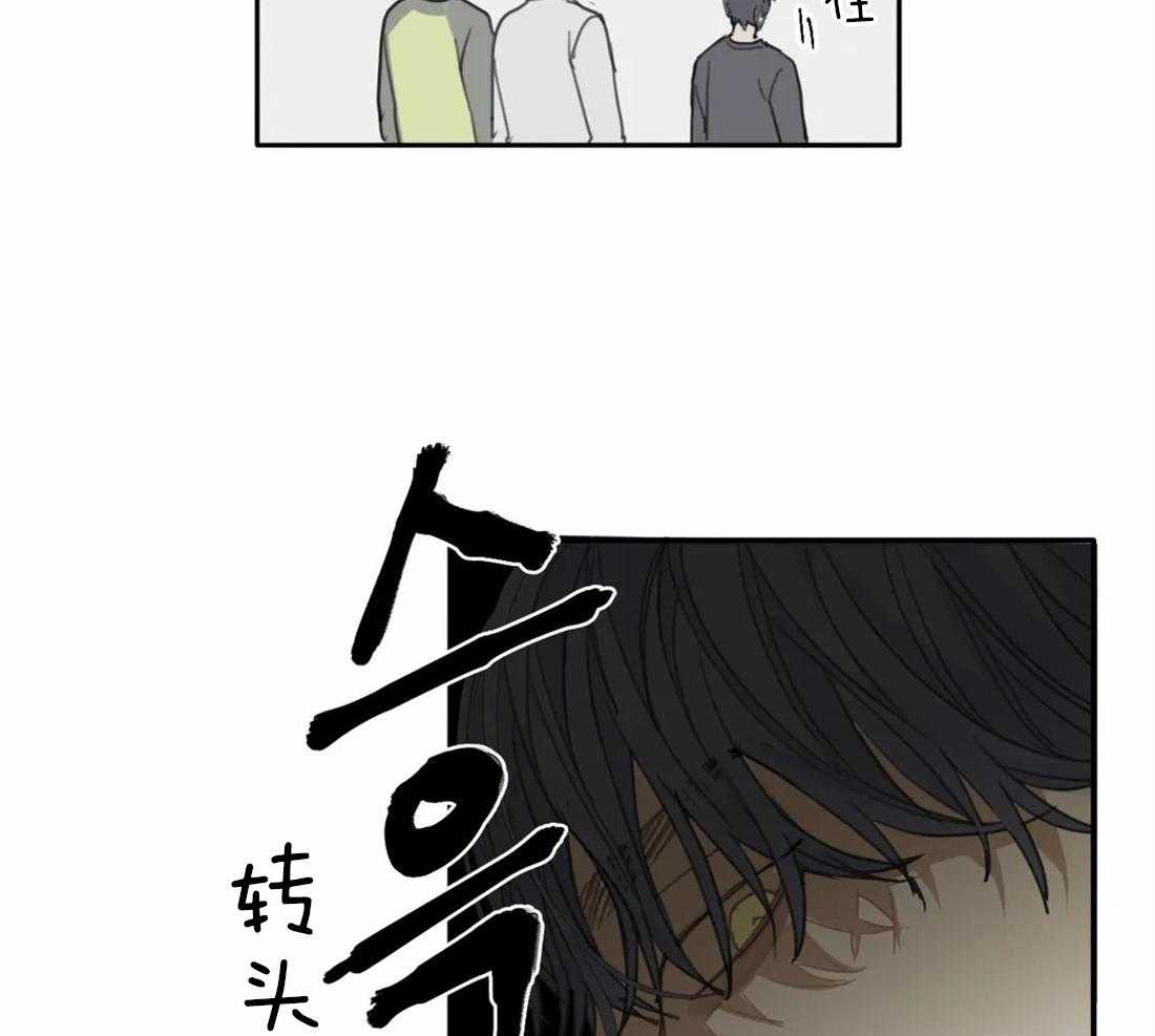 《疯狂的毒》漫画最新章节第39话 只能这么定义免费下拉式在线观看章节第【29】张图片