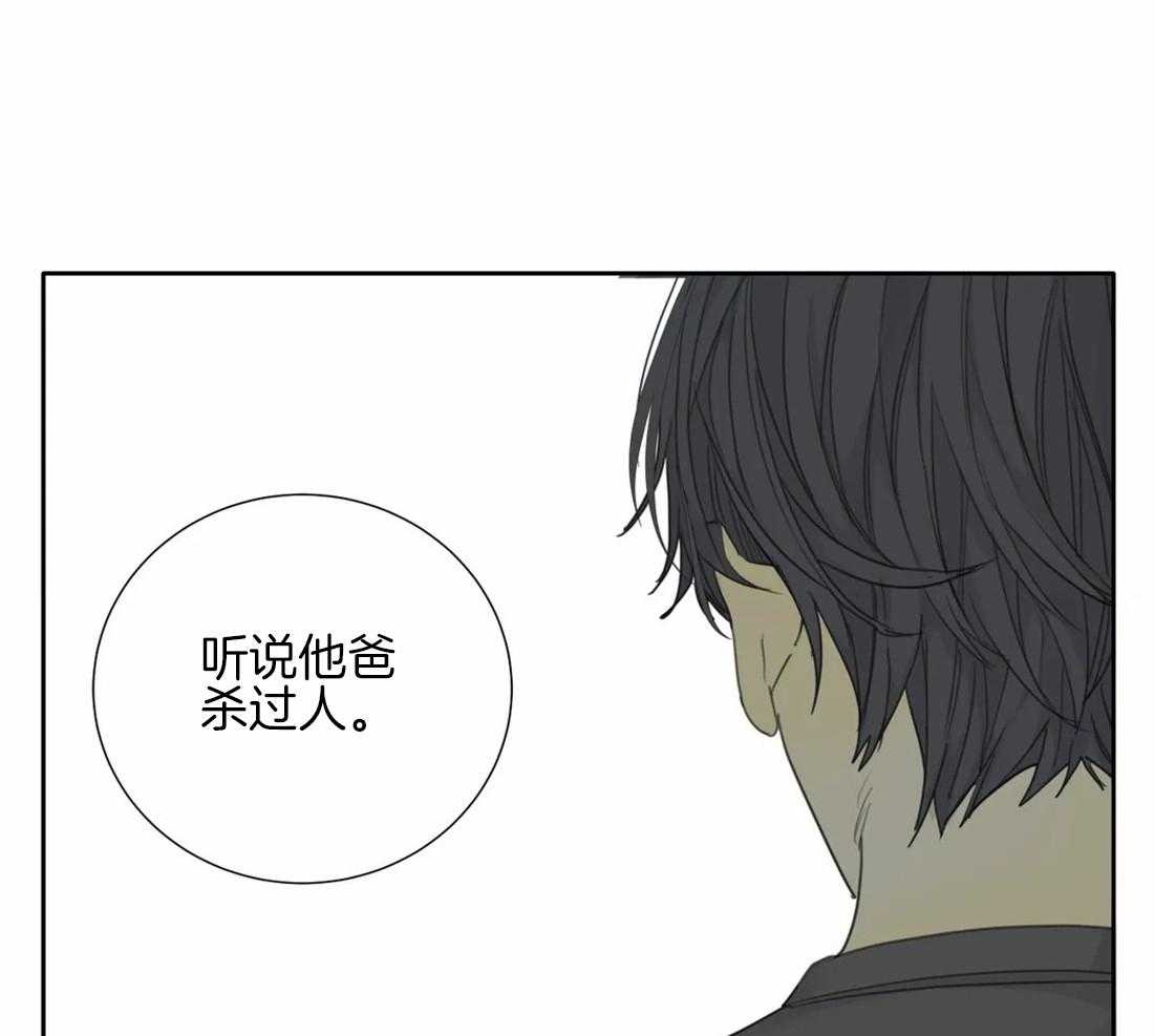 《疯狂的毒》漫画最新章节第39话 只能这么定义免费下拉式在线观看章节第【33】张图片