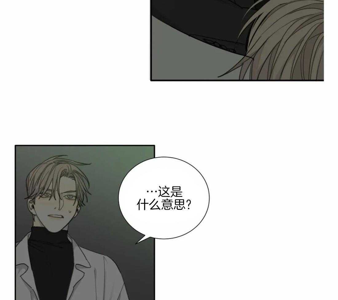 《疯狂的毒》漫画最新章节第46话 你说呢免费下拉式在线观看章节第【13】张图片