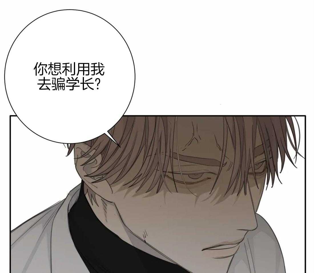 《疯狂的毒》漫画最新章节第51话 为什么这么生气免费下拉式在线观看章节第【36】张图片