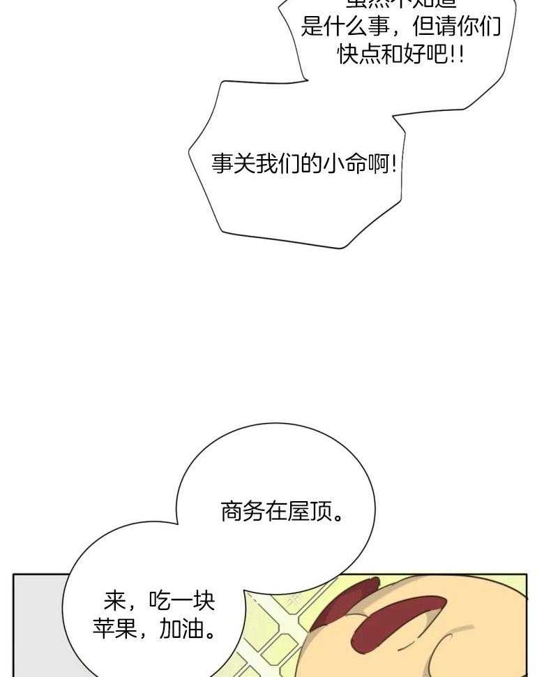 《疯狂的毒》漫画最新章节第59话 快点和好吧免费下拉式在线观看章节第【12】张图片