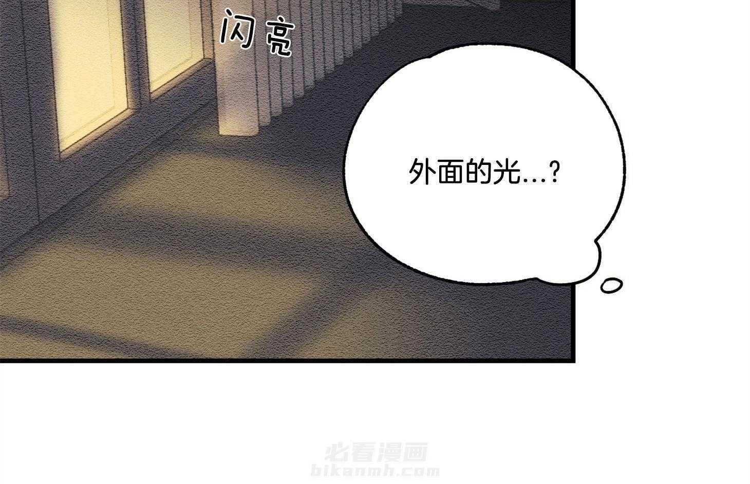 《科佩利亚的冠冕》漫画最新章节第28话 小说是我写的免费下拉式在线观看章节第【8】张图片