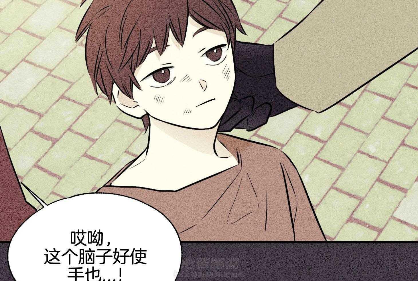 《科佩利亚的冠冕》漫画最新章节第38话 悲惨的母亲免费下拉式在线观看章节第【58】张图片