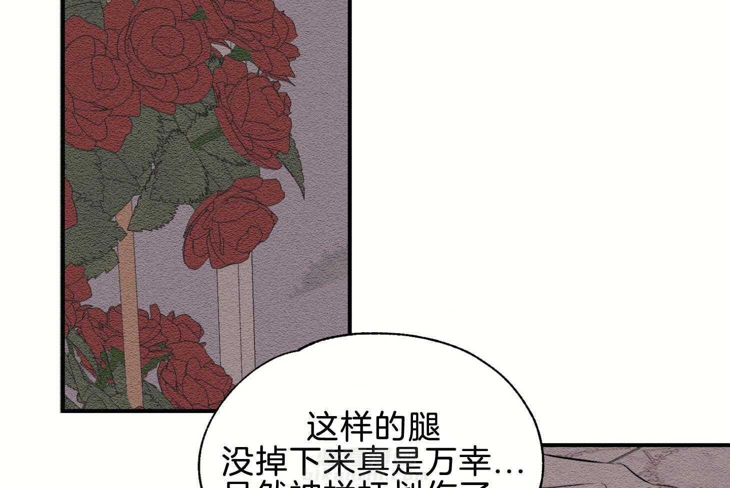 《科佩利亚的冠冕》漫画最新章节第45话 主角是她免费下拉式在线观看章节第【19】张图片