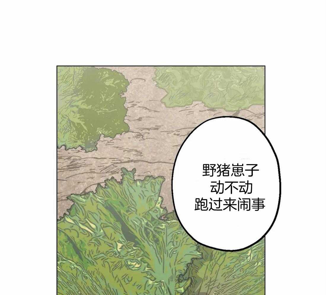 《当杀手坠入爱河》漫画最新章节第34话 动摇了吗免费下拉式在线观看章节第【5】张图片