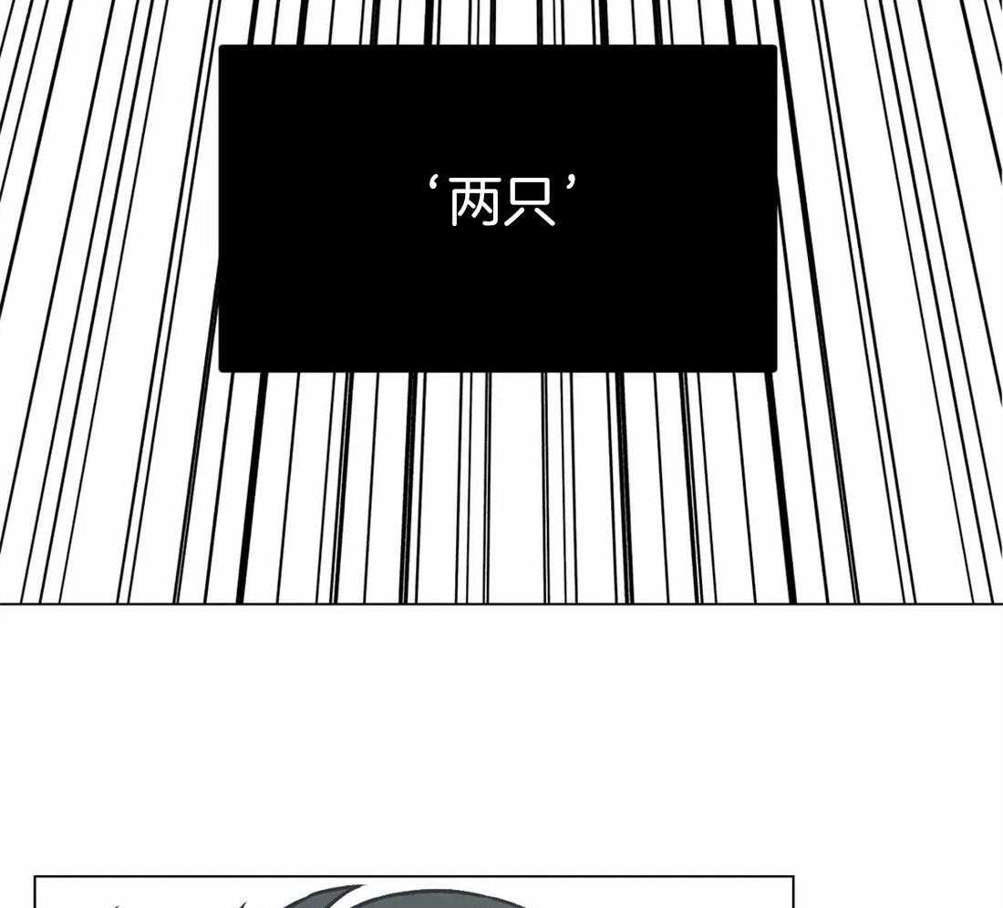 《当杀手坠入爱河》漫画最新章节第46话 双杀野猪免费下拉式在线观看章节第【62】张图片