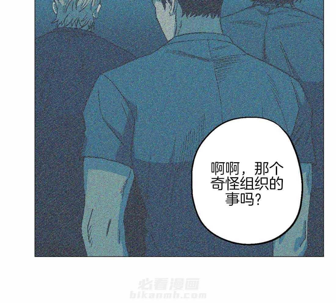 《当杀手坠入爱河》漫画最新章节第71话 告白了17次免费下拉式在线观看章节第【41】张图片