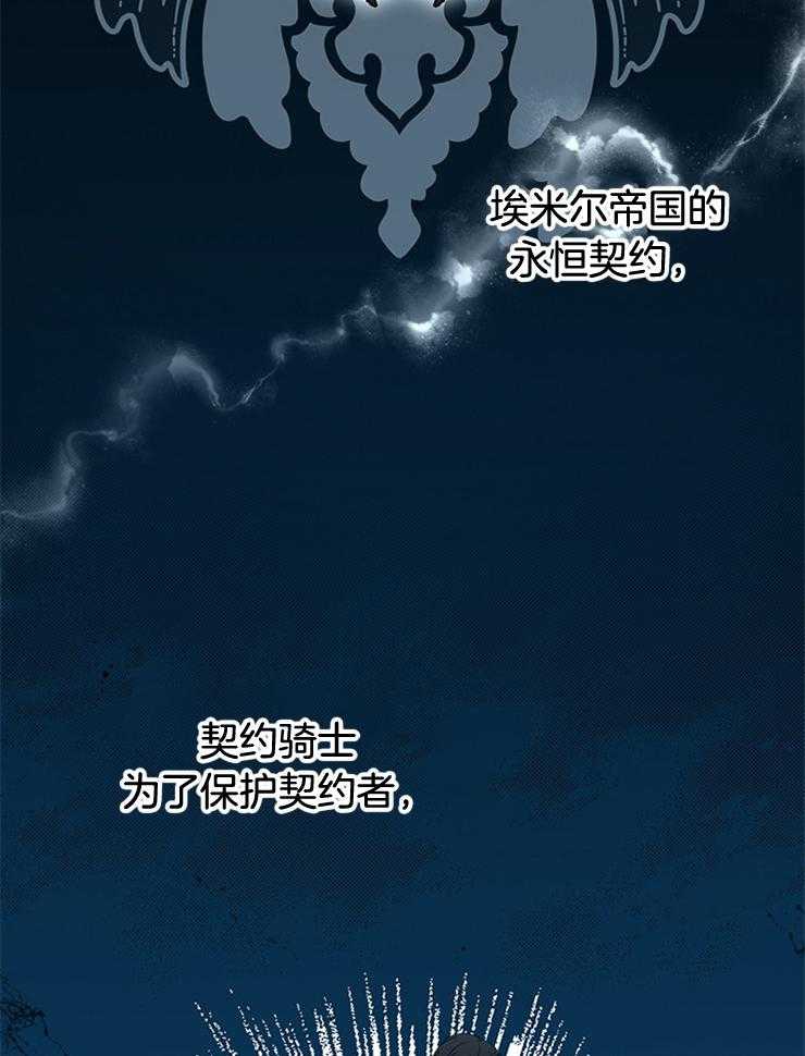 《再见光明》漫画最新章节第17话 骑士契约免费下拉式在线观看章节第【36】张图片