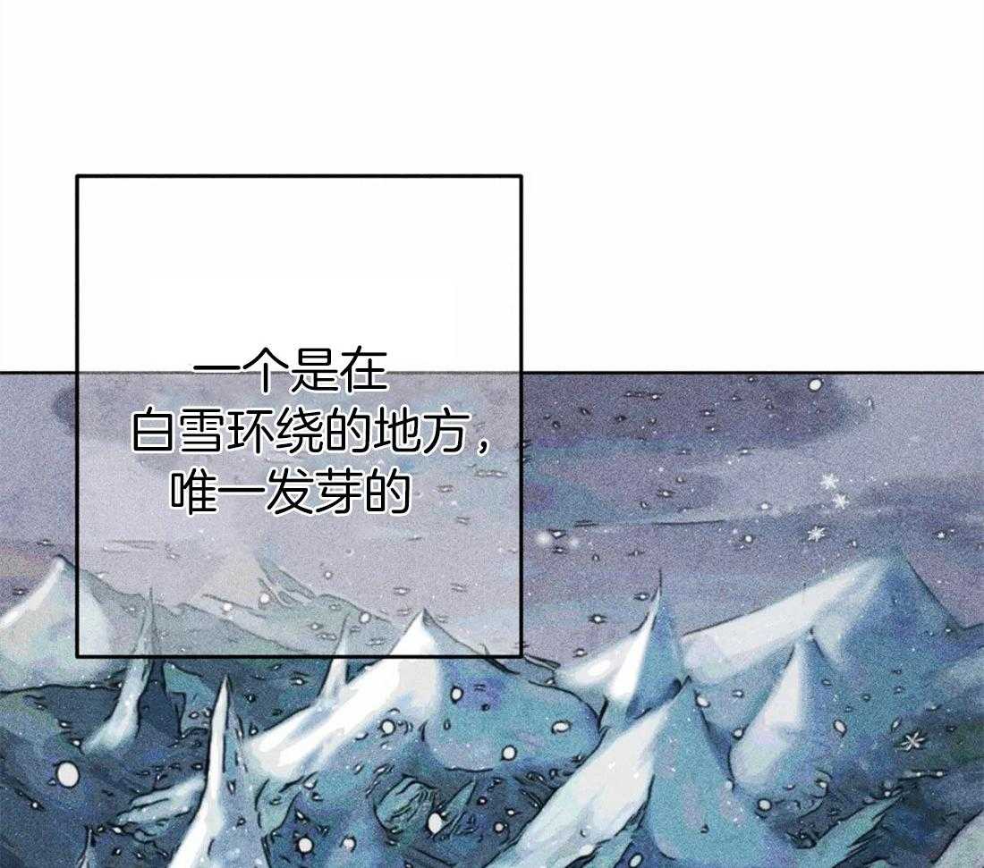 《被迫穿成异世神》漫画最新章节第34话 祝福的证据免费下拉式在线观看章节第【29】张图片