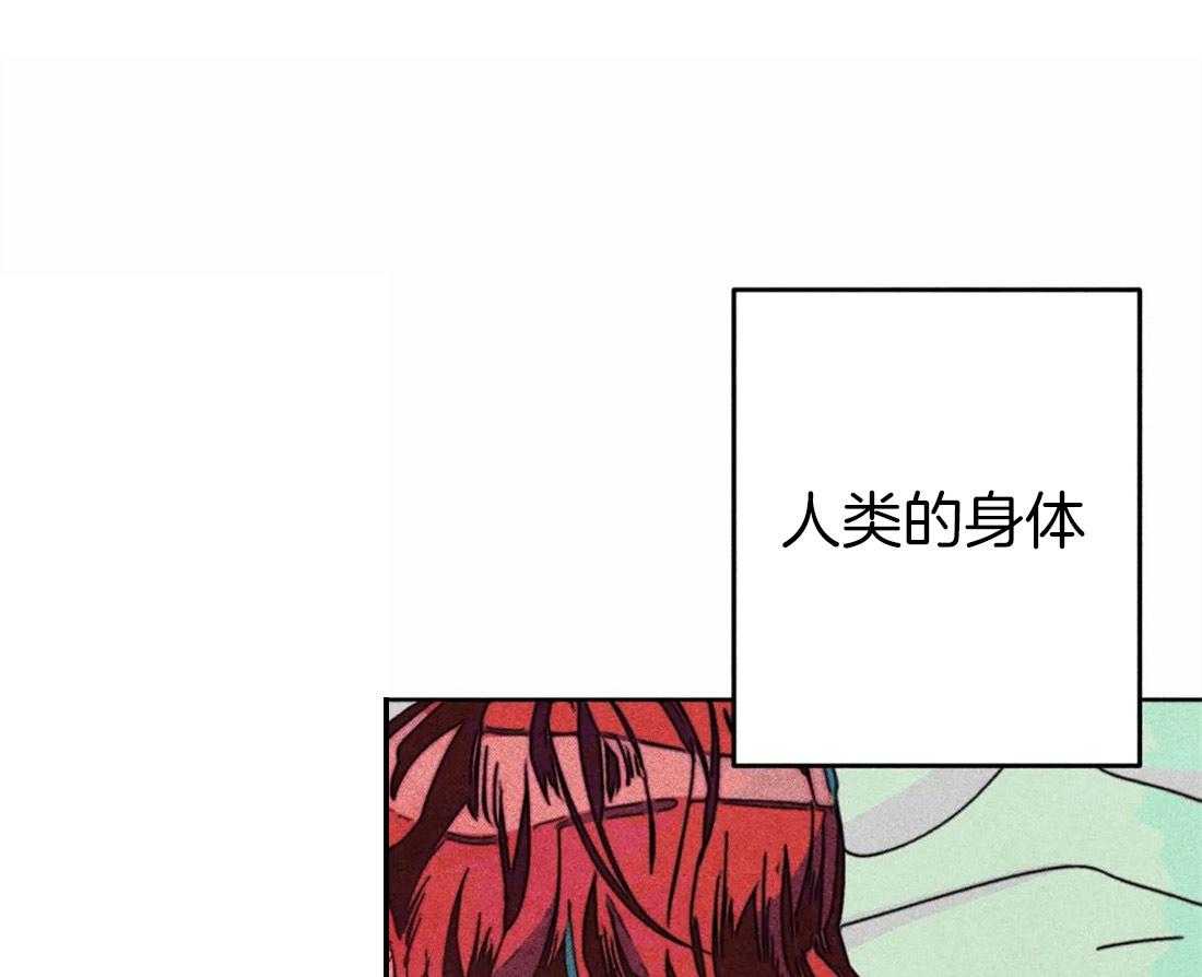 《被迫穿成异世神》漫画最新章节第38话 本能免费下拉式在线观看章节第【53】张图片