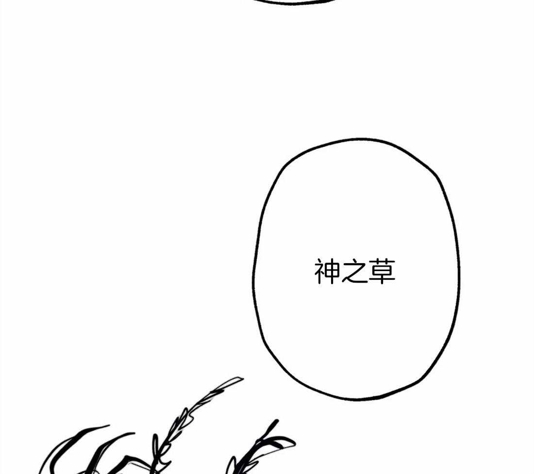 《被迫穿成异世神》漫画最新章节第40话 嫉妒的脸庞免费下拉式在线观看章节第【43】张图片