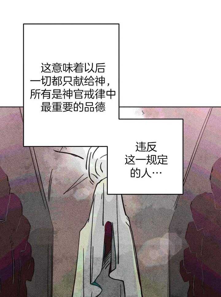 《被迫穿成异世神》漫画最新章节第65话 任命仪式免费下拉式在线观看章节第【23】张图片