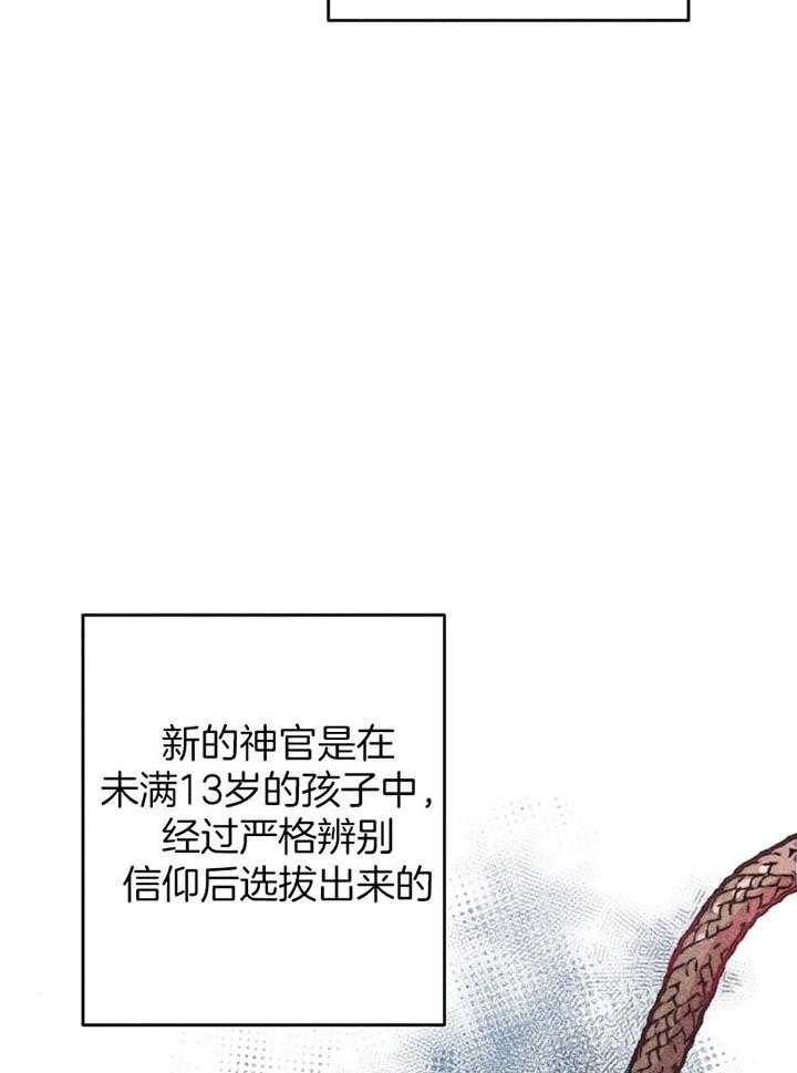 《被迫穿成异世神》漫画最新章节第65话 任命仪式免费下拉式在线观看章节第【25】张图片