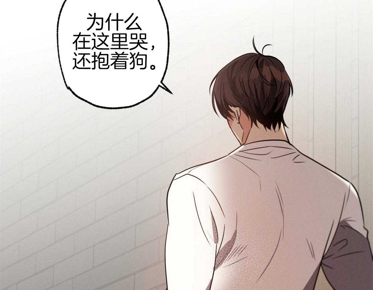 《别有用心的恋爱史》漫画最新章节第37话 落泪的原因免费下拉式在线观看章节第【51】张图片