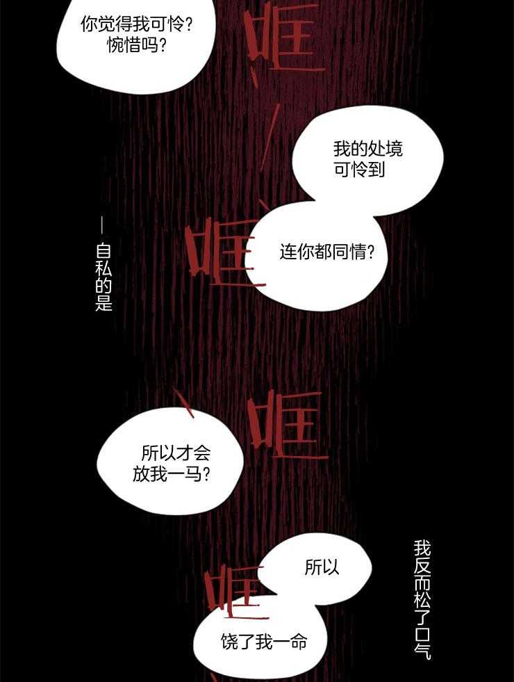 《狗狗哪有坏心思》漫画最新章节第12话 12_迟来的诅咒免费下拉式在线观看章节第【3】张图片