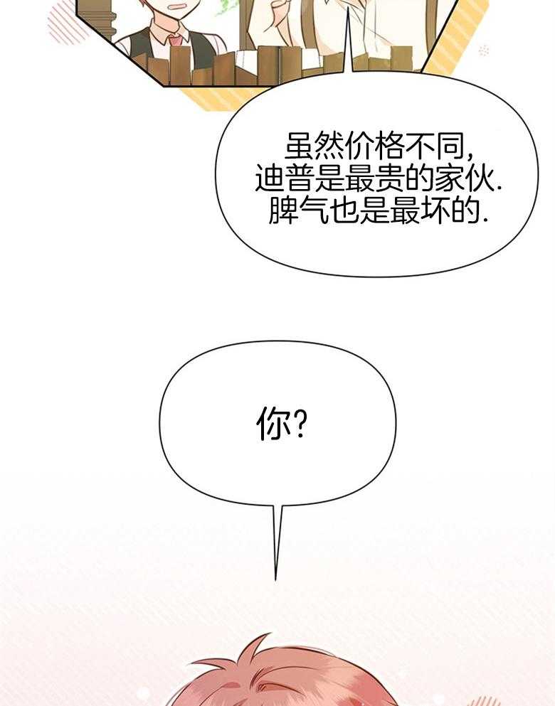 《狂撩炮灰美人殿下》漫画最新章节第39话 陌生的孩子免费下拉式在线观看章节第【21】张图片