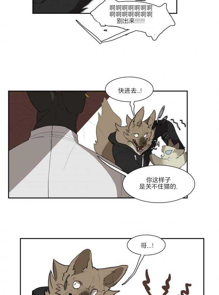 《保镖吸猫有错吗》漫画最新章节第22话 关不住猫免费下拉式在线观看章节第【11】张图片