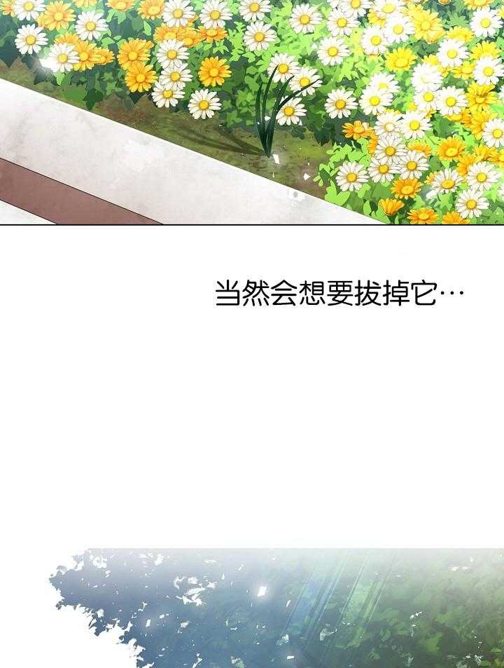 《疯批殿下的虐爱》漫画最新章节第26话 杂草免费下拉式在线观看章节第【15】张图片