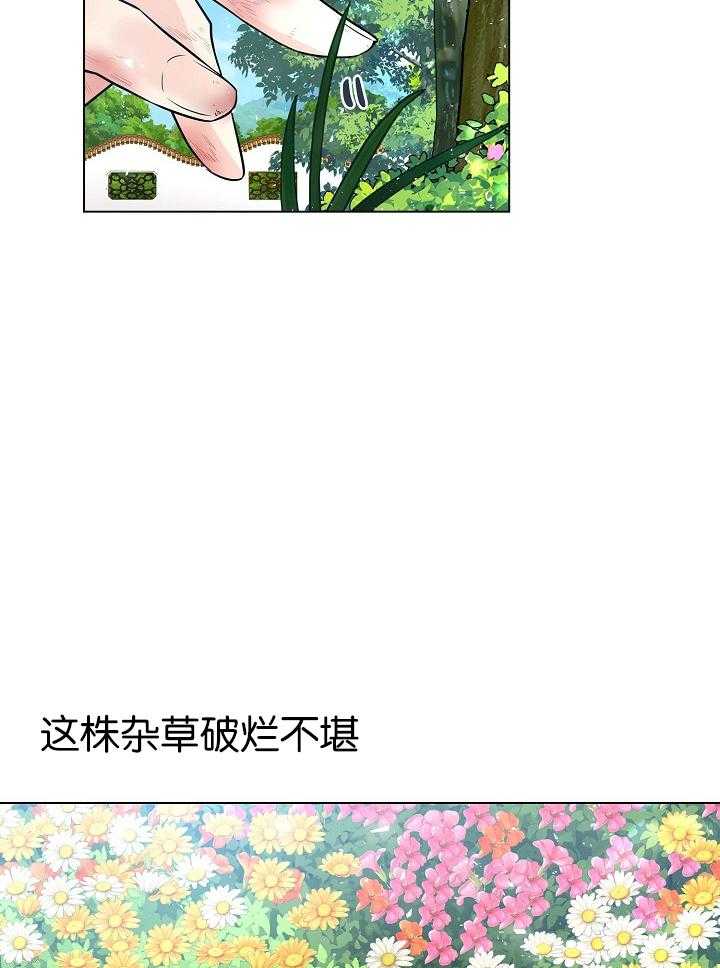 《疯批殿下的虐爱》漫画最新章节第26话 杂草免费下拉式在线观看章节第【16】张图片