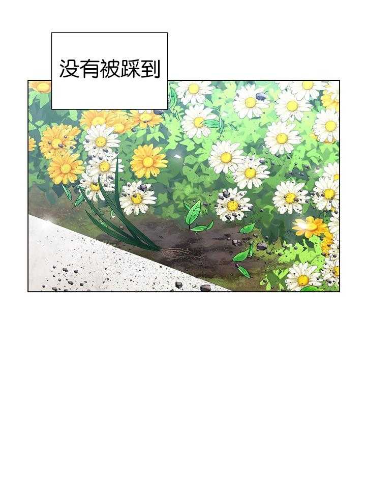 《疯批殿下的虐爱》漫画最新章节第26话 杂草免费下拉式在线观看章节第【1】张图片