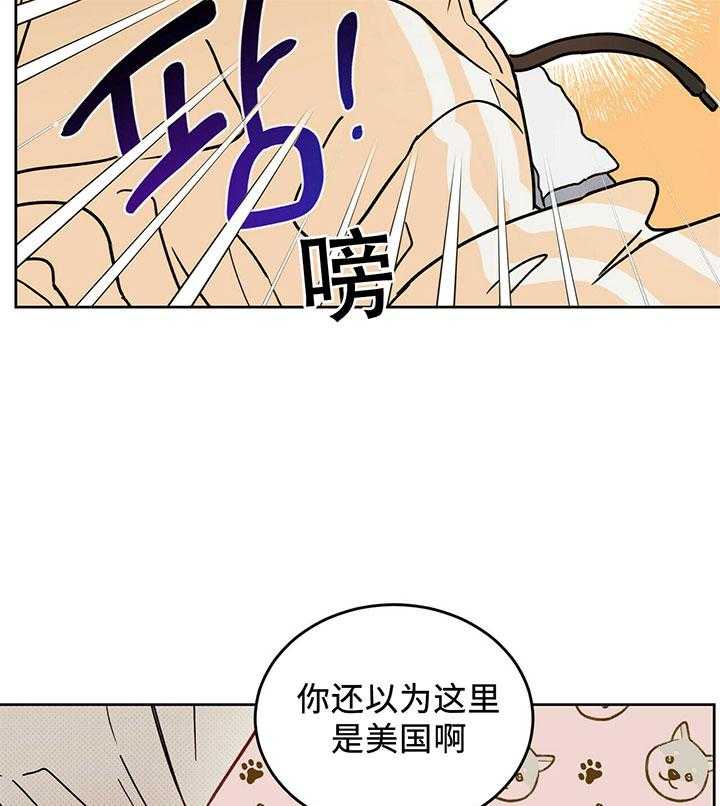 《恶魔对我图谋不轨》漫画最新章节第3话 3_把恶魔带回家免费下拉式在线观看章节第【4】张图片