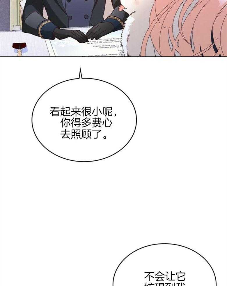 《我的实力你想象不到》漫画最新章节第12话 12_我们的小可爱免费下拉式在线观看章节第【29】张图片