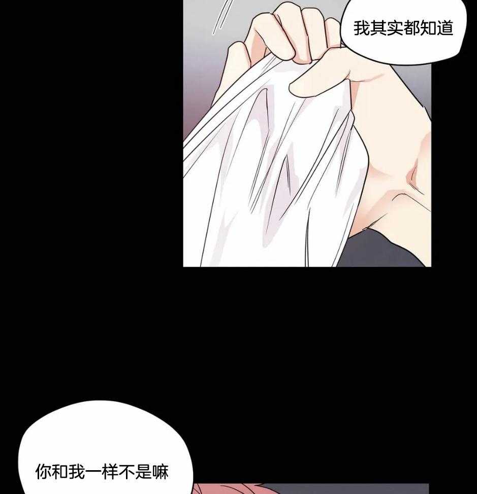 《悖论》漫画最新章节第73话 我们一样不是吗免费下拉式在线观看章节第【5】张图片