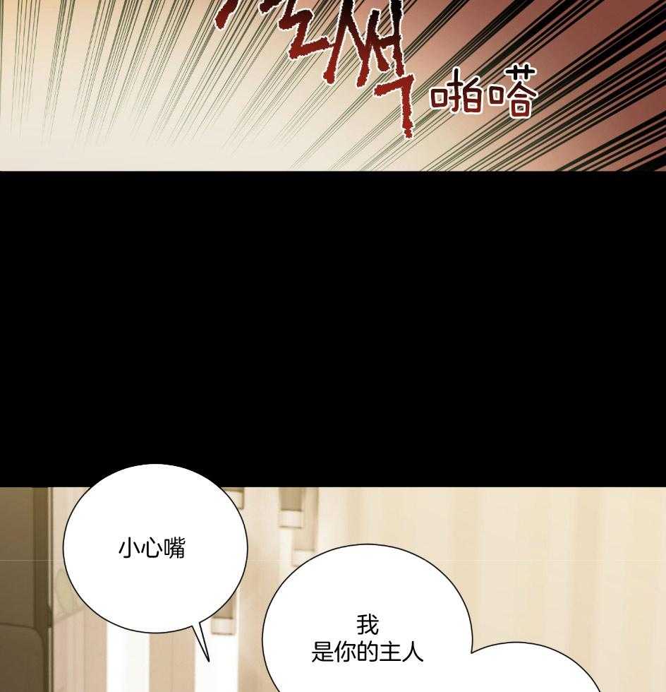 《虐待狂之美》漫画最新章节第23话 成功的妄想免费下拉式在线观看章节第【21】张图片