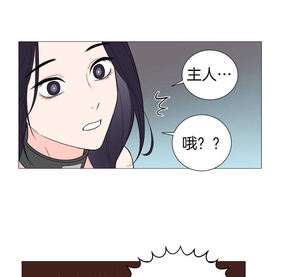 《虐待狂之美》漫画最新章节第34话 主人的游戏免费下拉式在线观看章节第【16】张图片