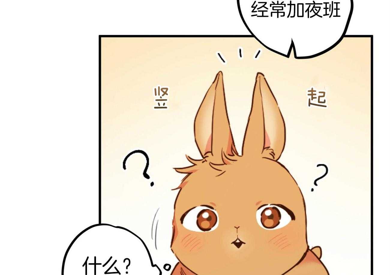 《兔子今天掉马了吗》漫画最新章节第1话 1_是哈鲁的家人免费下拉式在线观看章节第【6】张图片