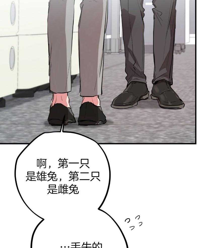 《兔子今天掉马了吗》漫画最新章节第57话 寻兔启事免费下拉式在线观看章节第【26】张图片