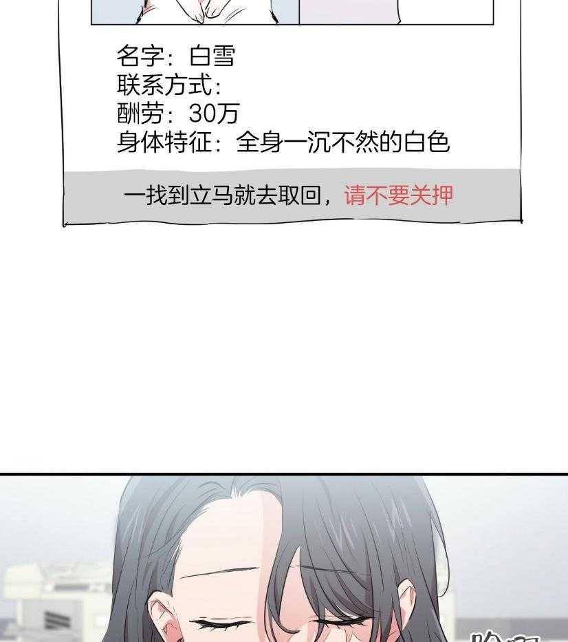 《兔子今天掉马了吗》漫画最新章节第57话 寻兔启事免费下拉式在线观看章节第【47】张图片