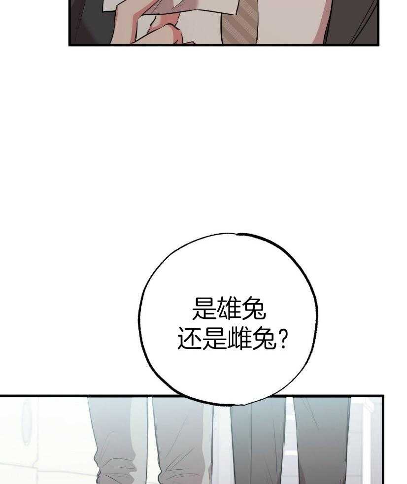 《兔子今天掉马了吗》漫画最新章节第57话 寻兔启事免费下拉式在线观看章节第【27】张图片