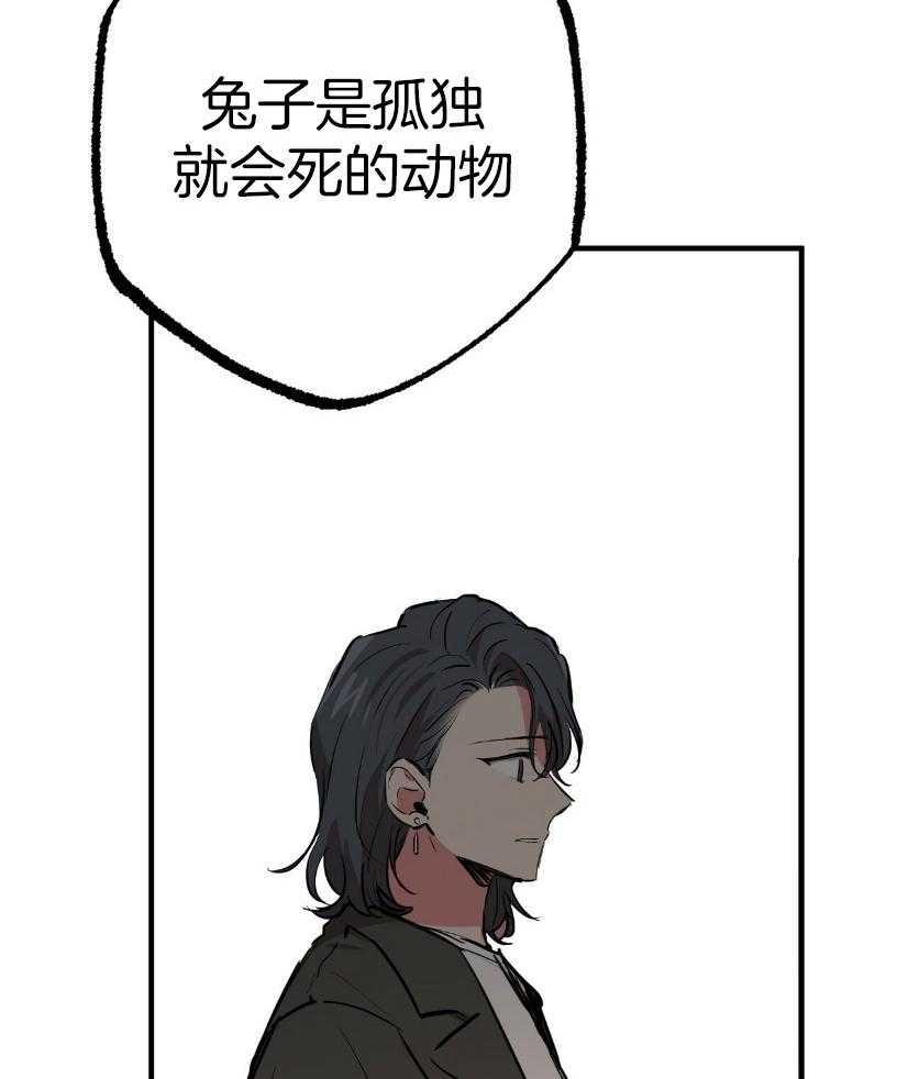 《兔子今天掉马了吗》漫画最新章节第57话 寻兔启事免费下拉式在线观看章节第【7】张图片