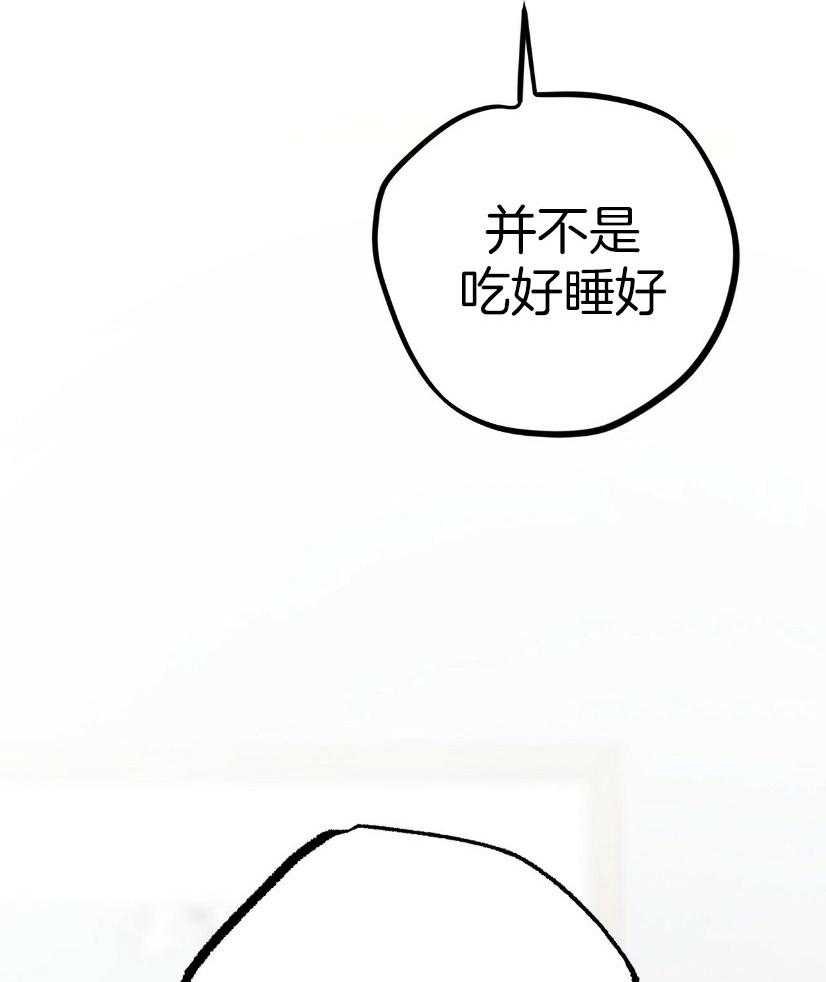 《兔子今天掉马了吗》漫画最新章节第57话 寻兔启事免费下拉式在线观看章节第【3】张图片