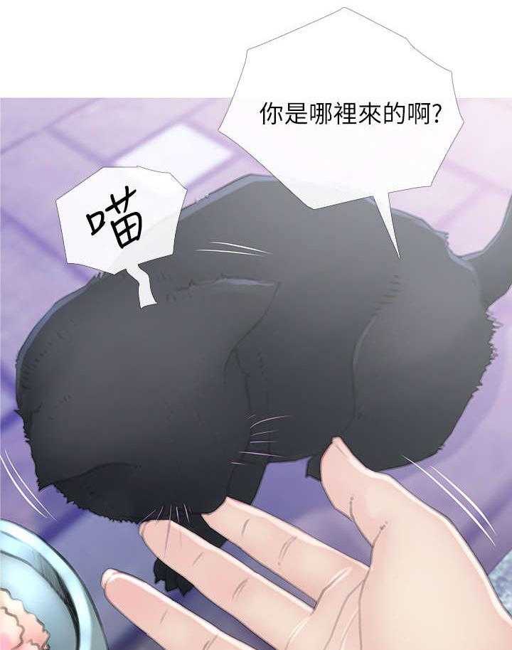 《住户危机》漫画最新章节第1话 1_猫咪免费下拉式在线观看章节第【7】张图片