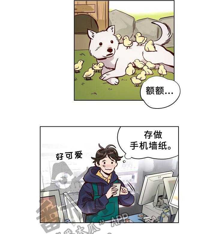 《赎罪营》漫画最新章节第5话 5_观察免费下拉式在线观看章节第【3】张图片