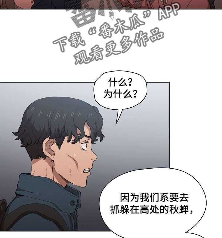 《迷途之旅》漫画最新章节第20话 20_蝉叫的区别免费下拉式在线观看章节第【6】张图片