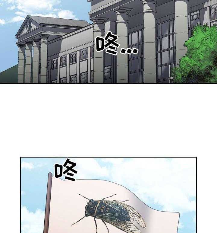 《迷途之旅》漫画最新章节第20话 20_蝉叫的区别免费下拉式在线观看章节第【16】张图片