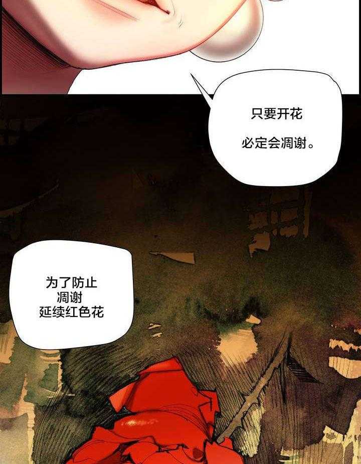 《精灵之子》漫画最新章节第73话 73_辛秘（下）免费下拉式在线观看章节第【26】张图片