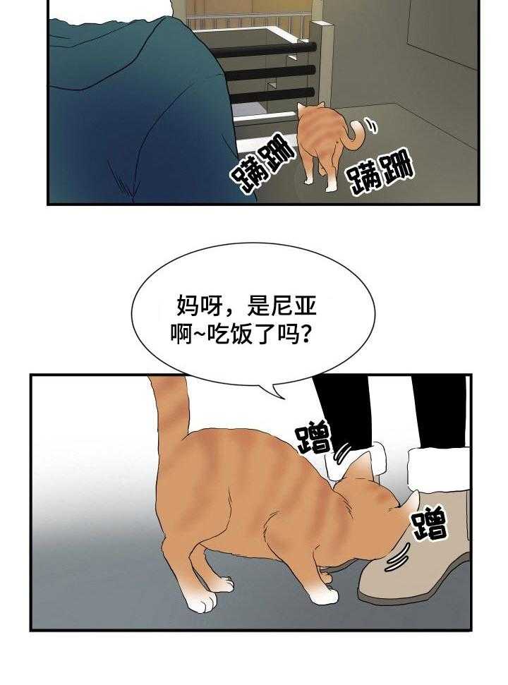 《不同视角》漫画最新章节第26话 26_猫咪免费下拉式在线观看章节第【1】张图片