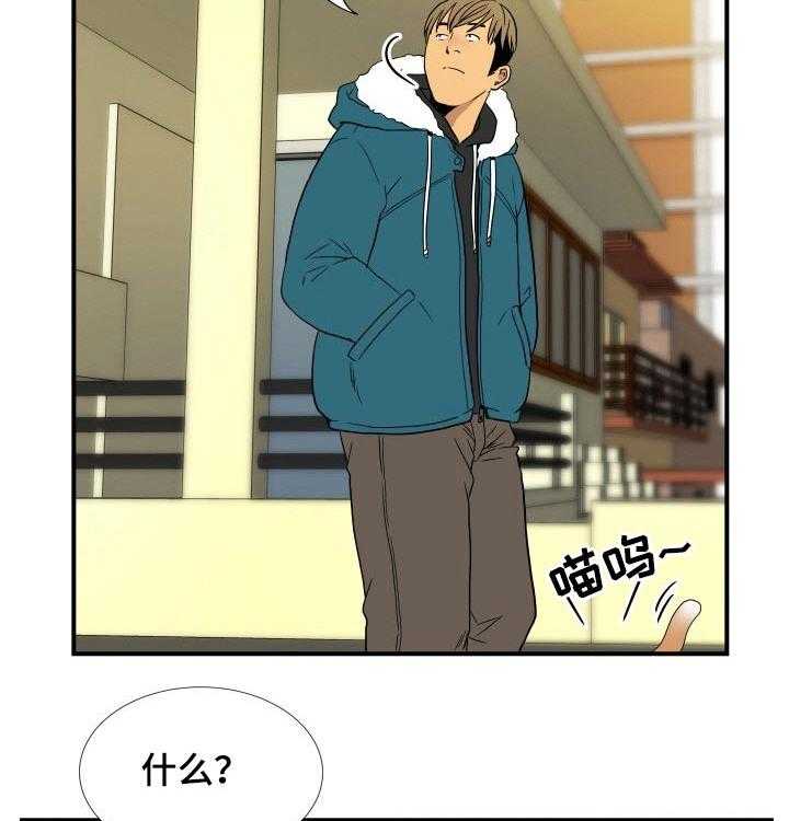 《不同视角》漫画最新章节第26话 26_猫咪免费下拉式在线观看章节第【5】张图片