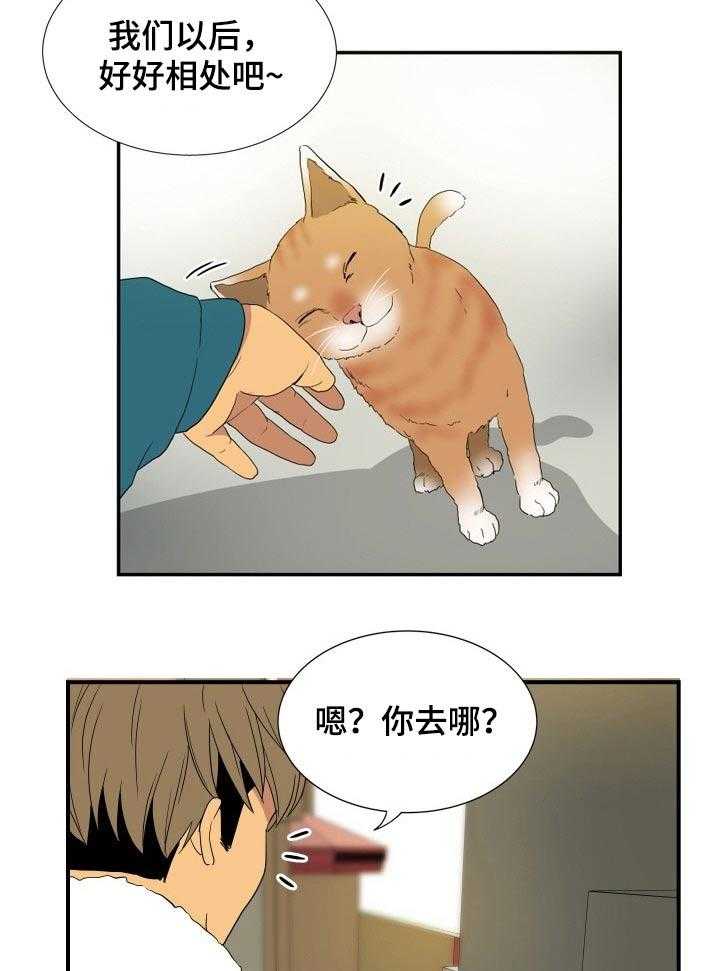 《不同视角》漫画最新章节第26话 26_猫咪免费下拉式在线观看章节第【2】张图片